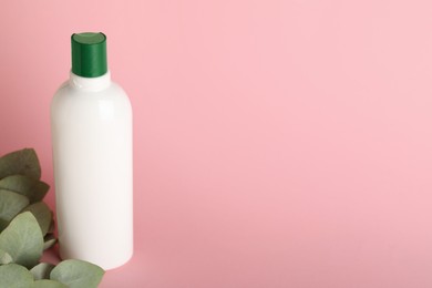 Photo of Shampoo in bottle and green eucalyptus leaves on pink background, space for text