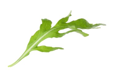 Photo of One fresh arugula leaf on white background