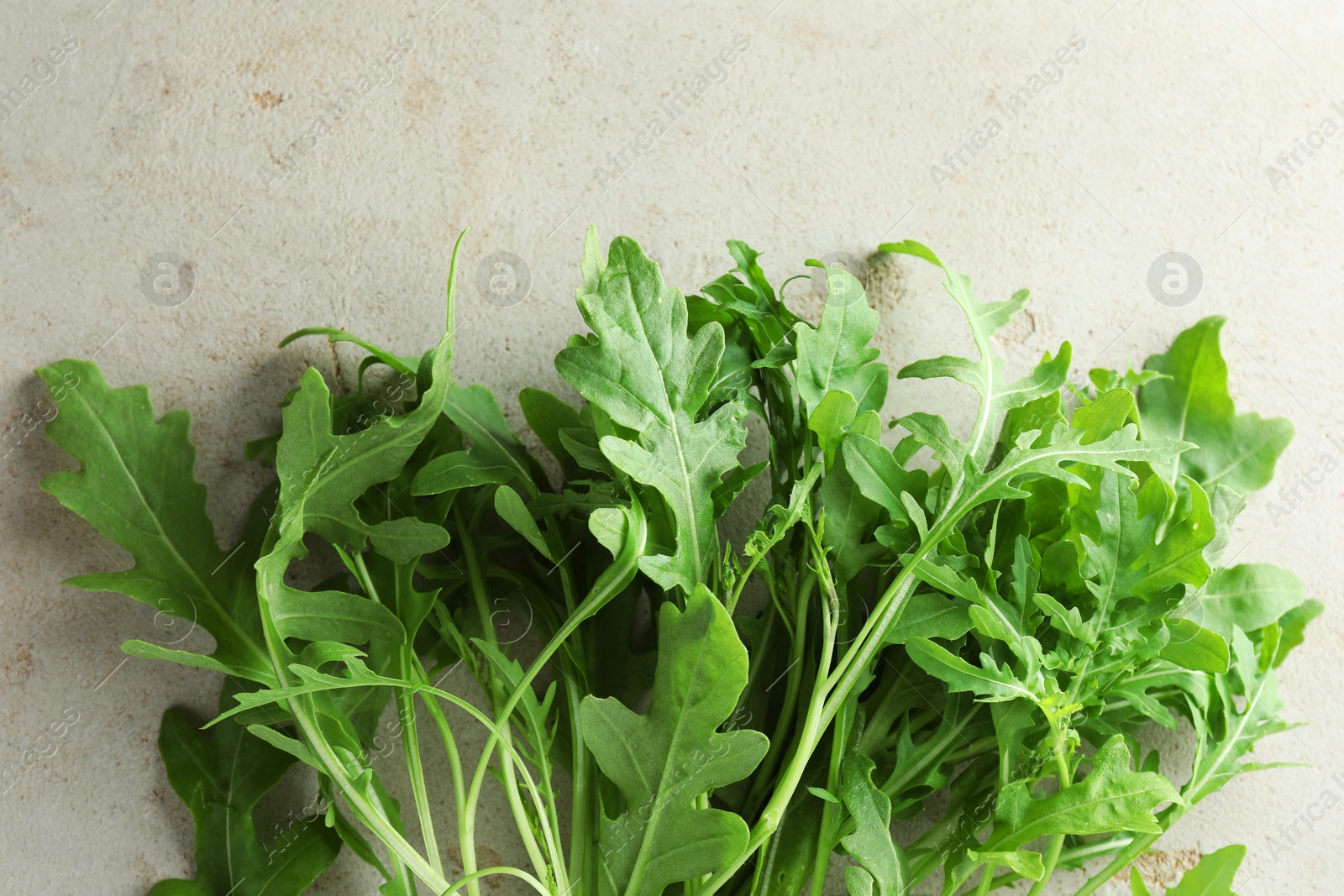 Photo of Many fresh arugula leaves on grey textured table, top view