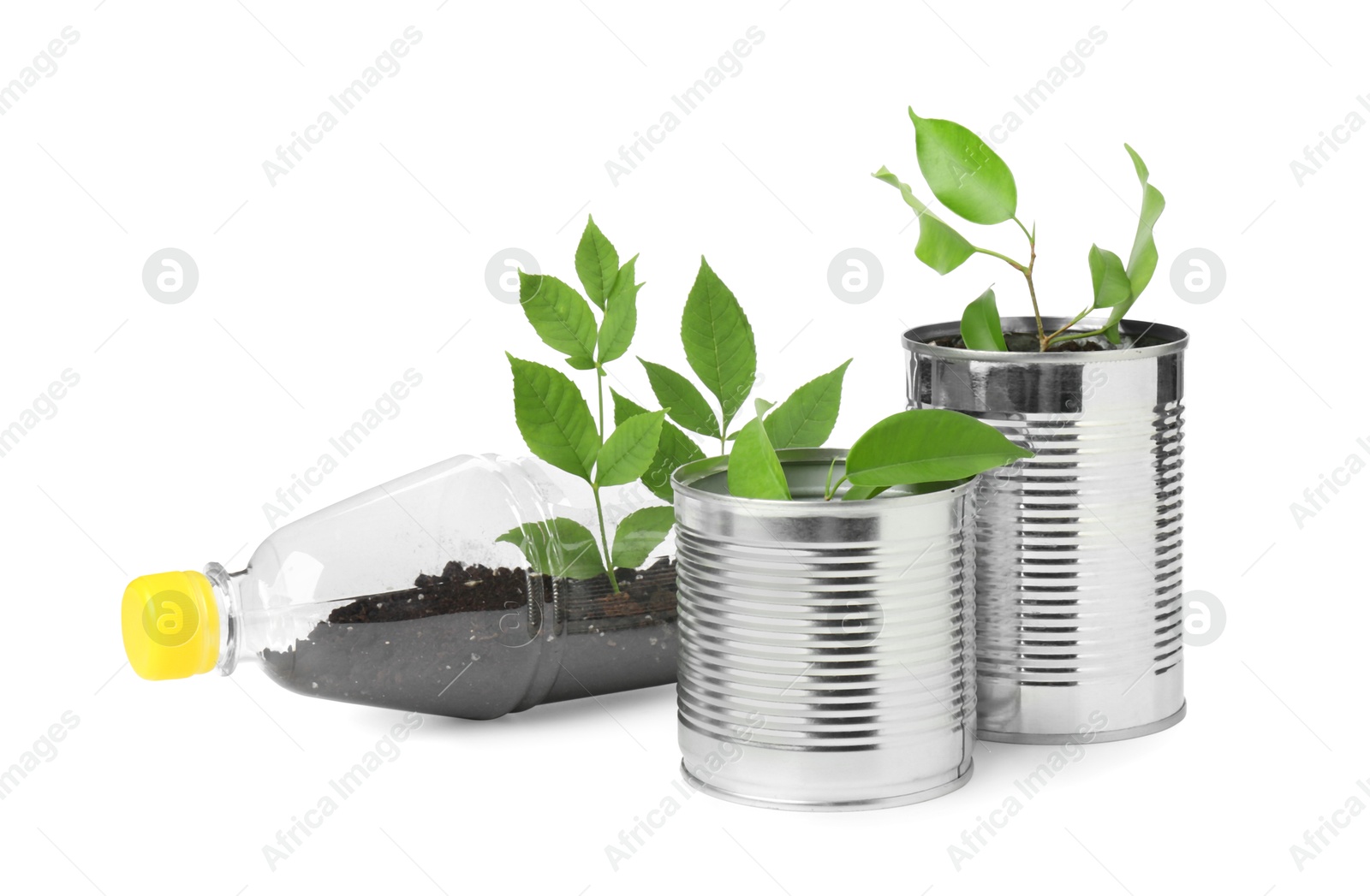 Photo of Recycling concept. Plastic bottle and cans with plants isolated on white