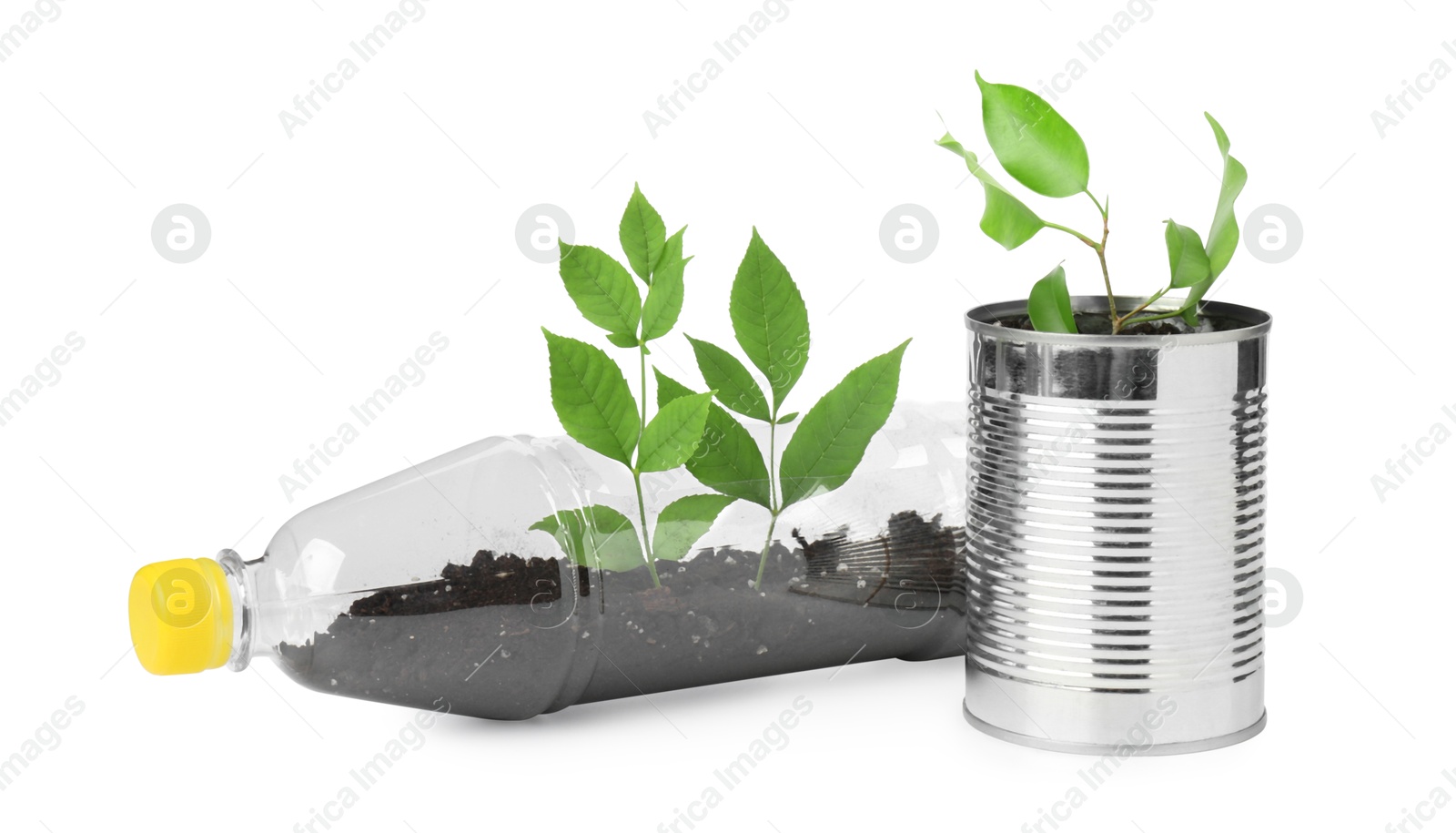 Photo of Recycling concept. Plastic bottle and can with plants isolated on white