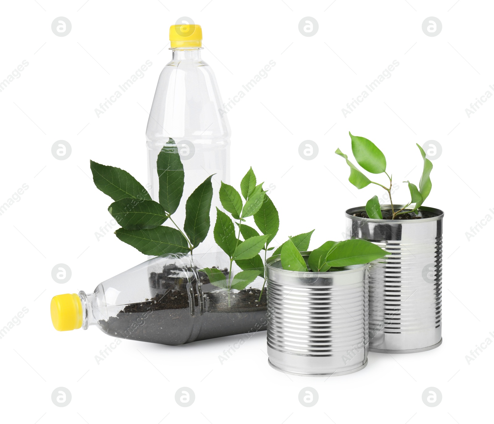 Photo of Recycling concept. Plastic bottles and cans with plants isolated on white