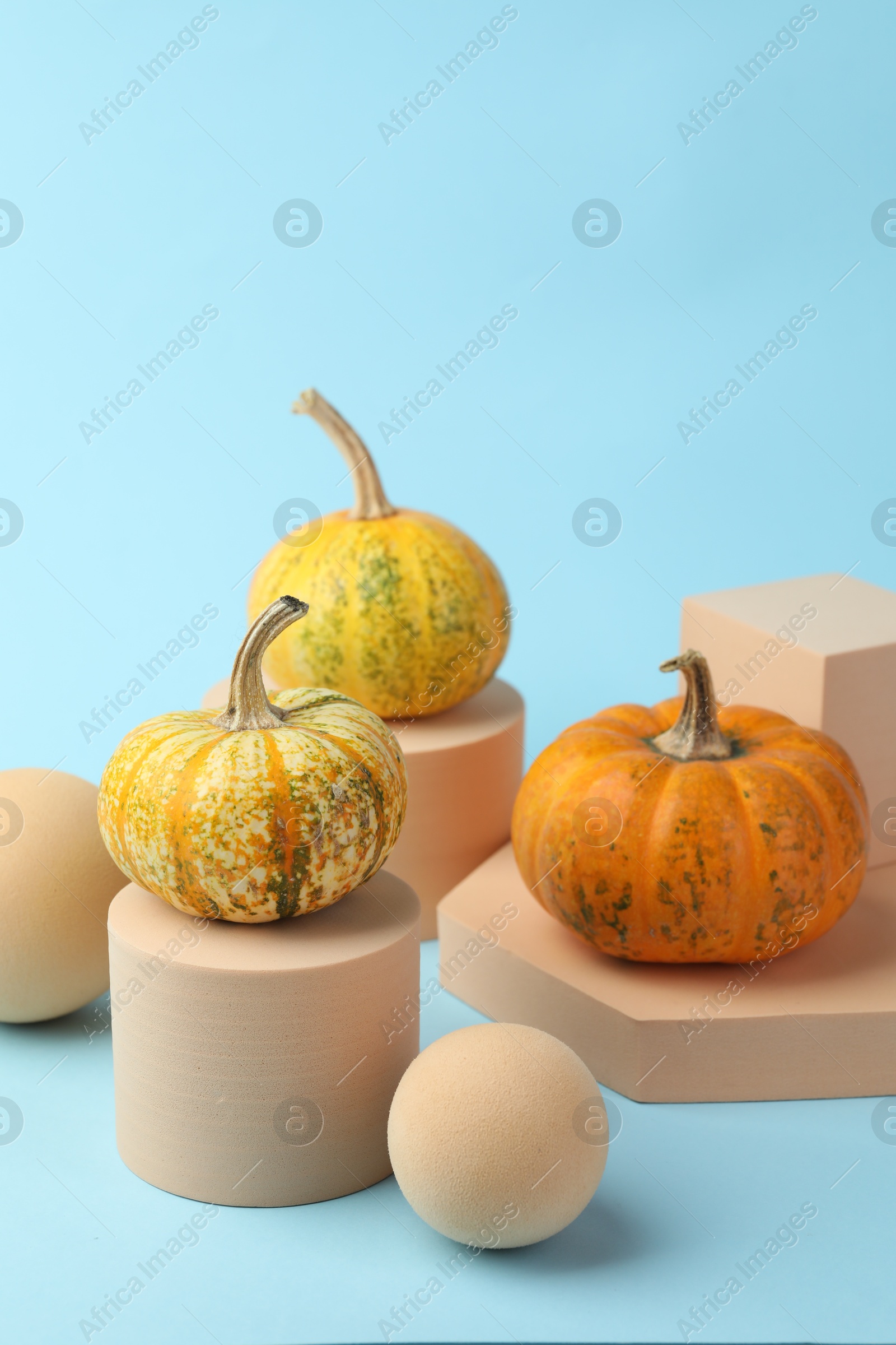 Photo of Fresh pumpkins on podiums against light blue background