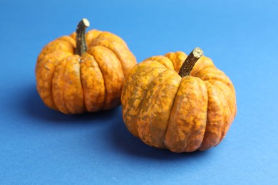 Photo of Two fresh pumpkins on blue background, closeup