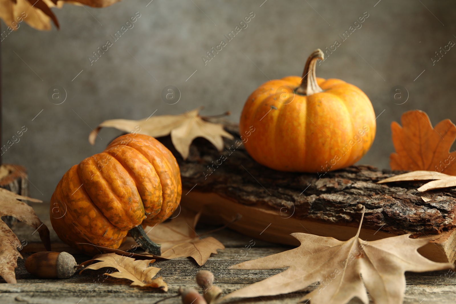 Photo of Fresh pumpkins and dry leaves on wooden table, closeup