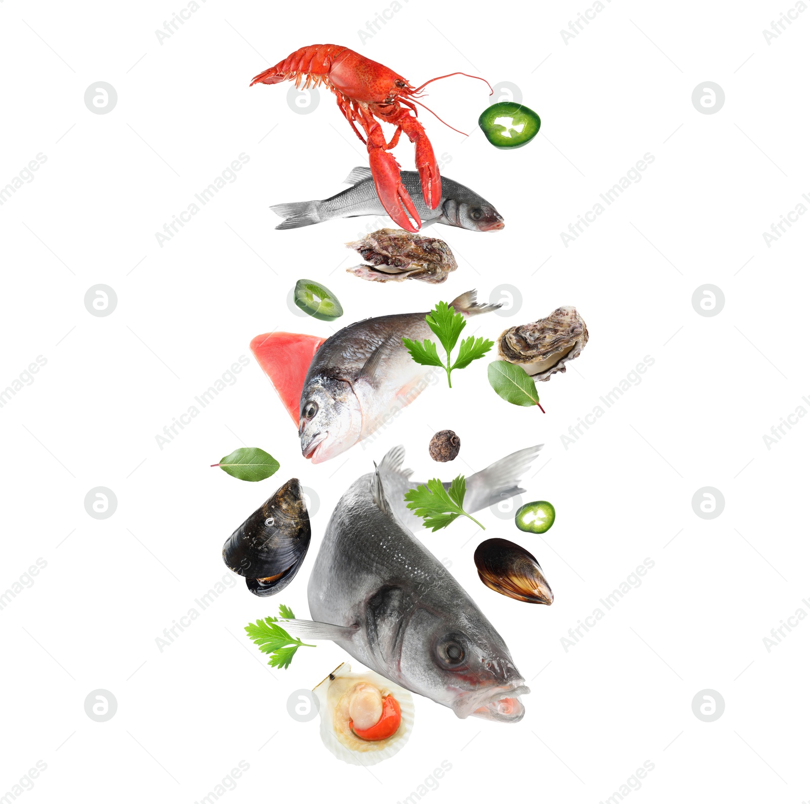 Image of Different sea food in air on white background