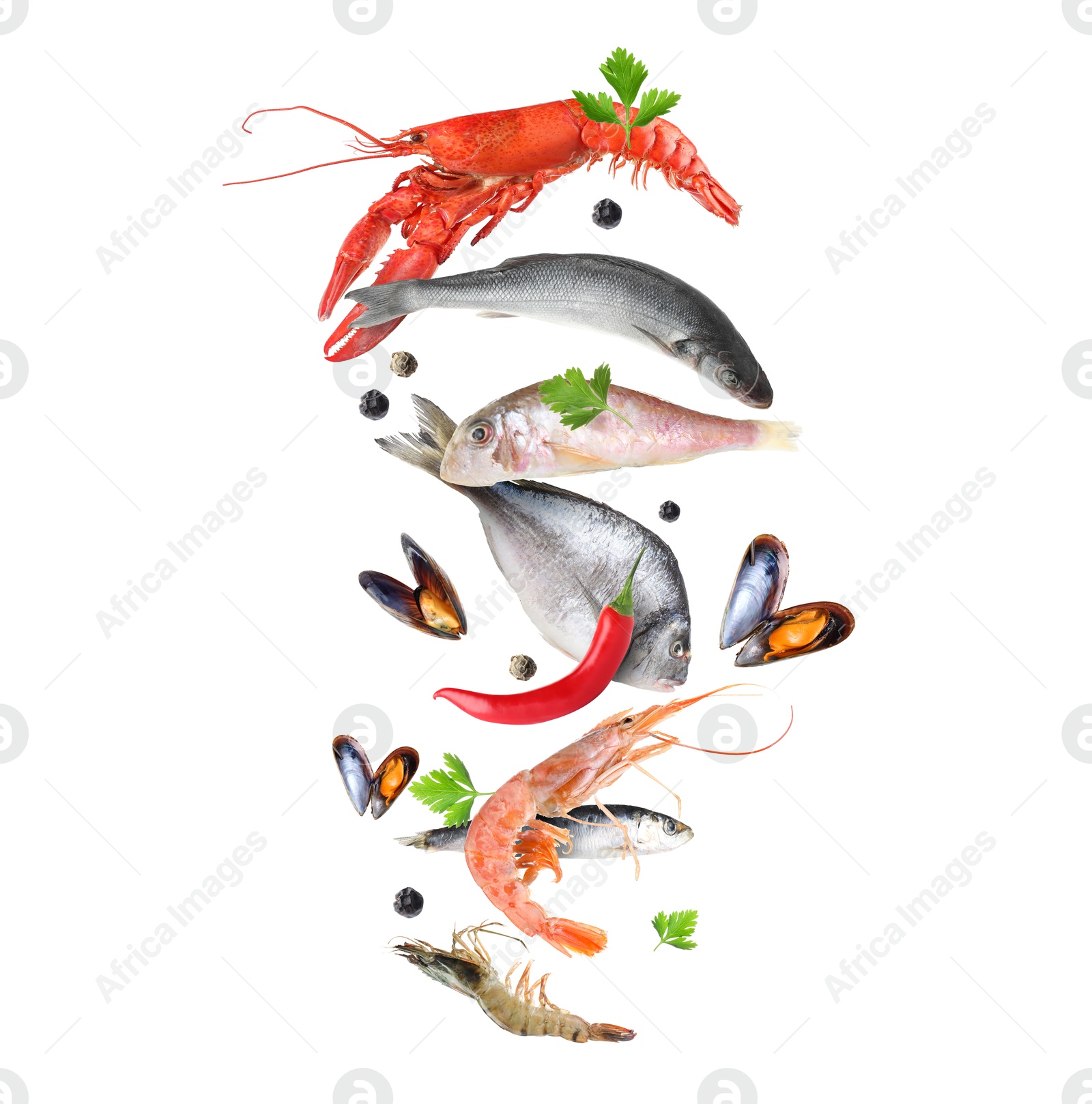 Image of Different sea food in air on white background