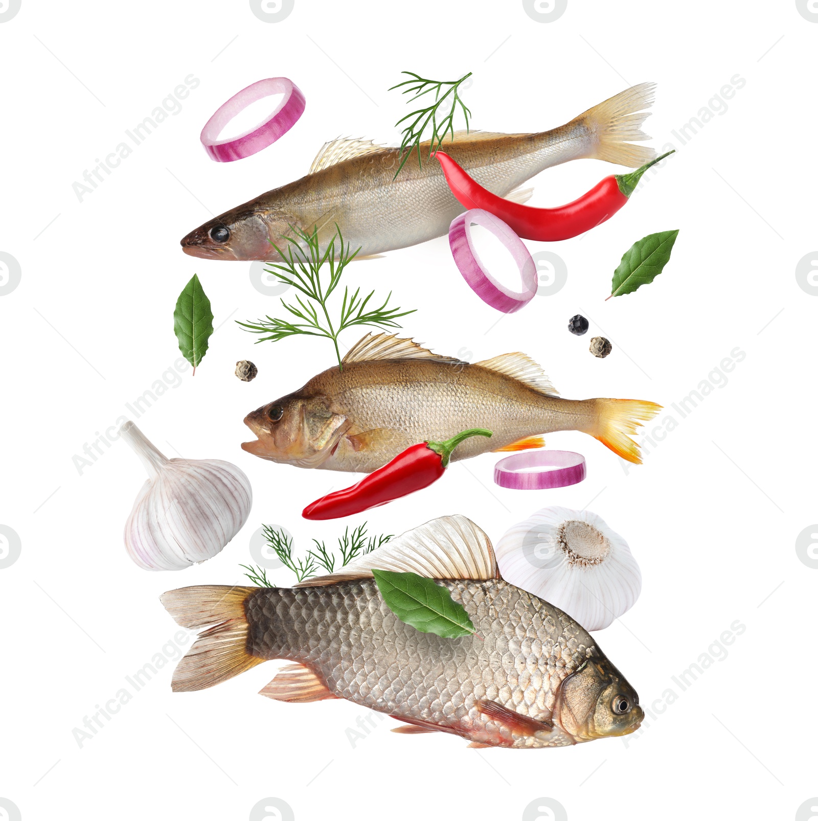 Image of Different sea food in air on white background