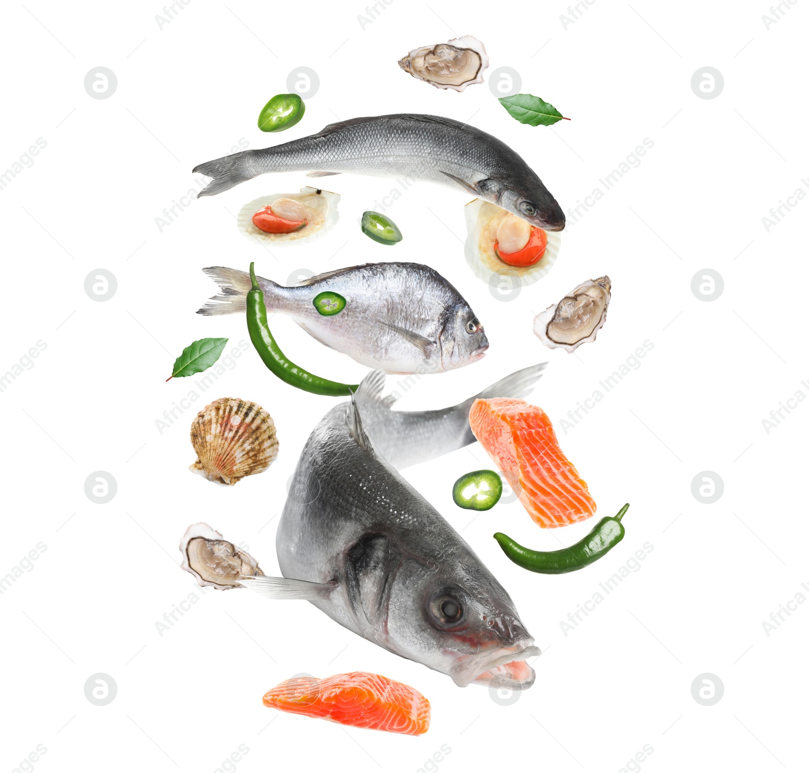 Image of Different sea food in air on white background