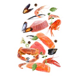 Image of Different sea food in air on white background