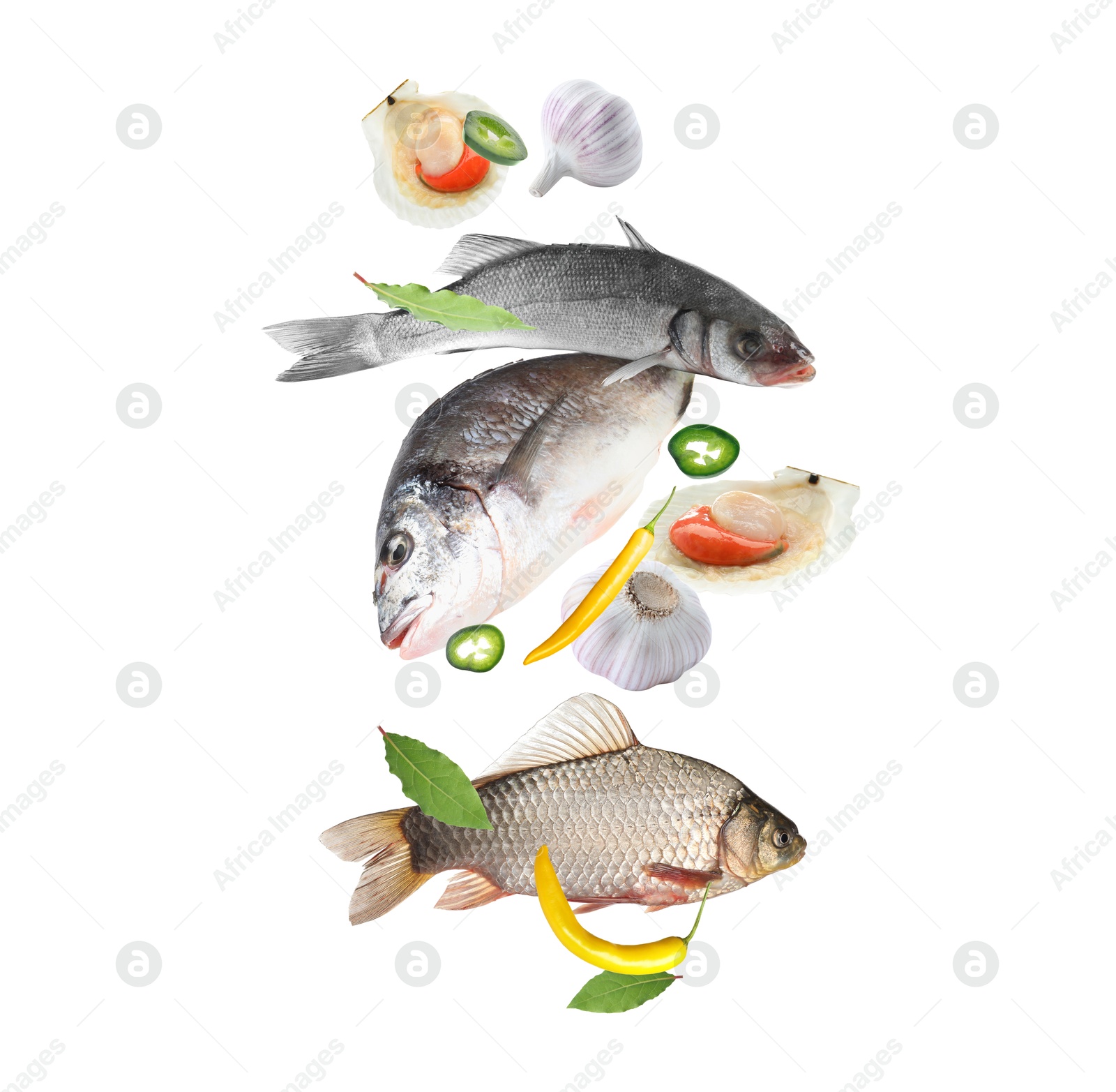 Image of Different sea food in air on white background