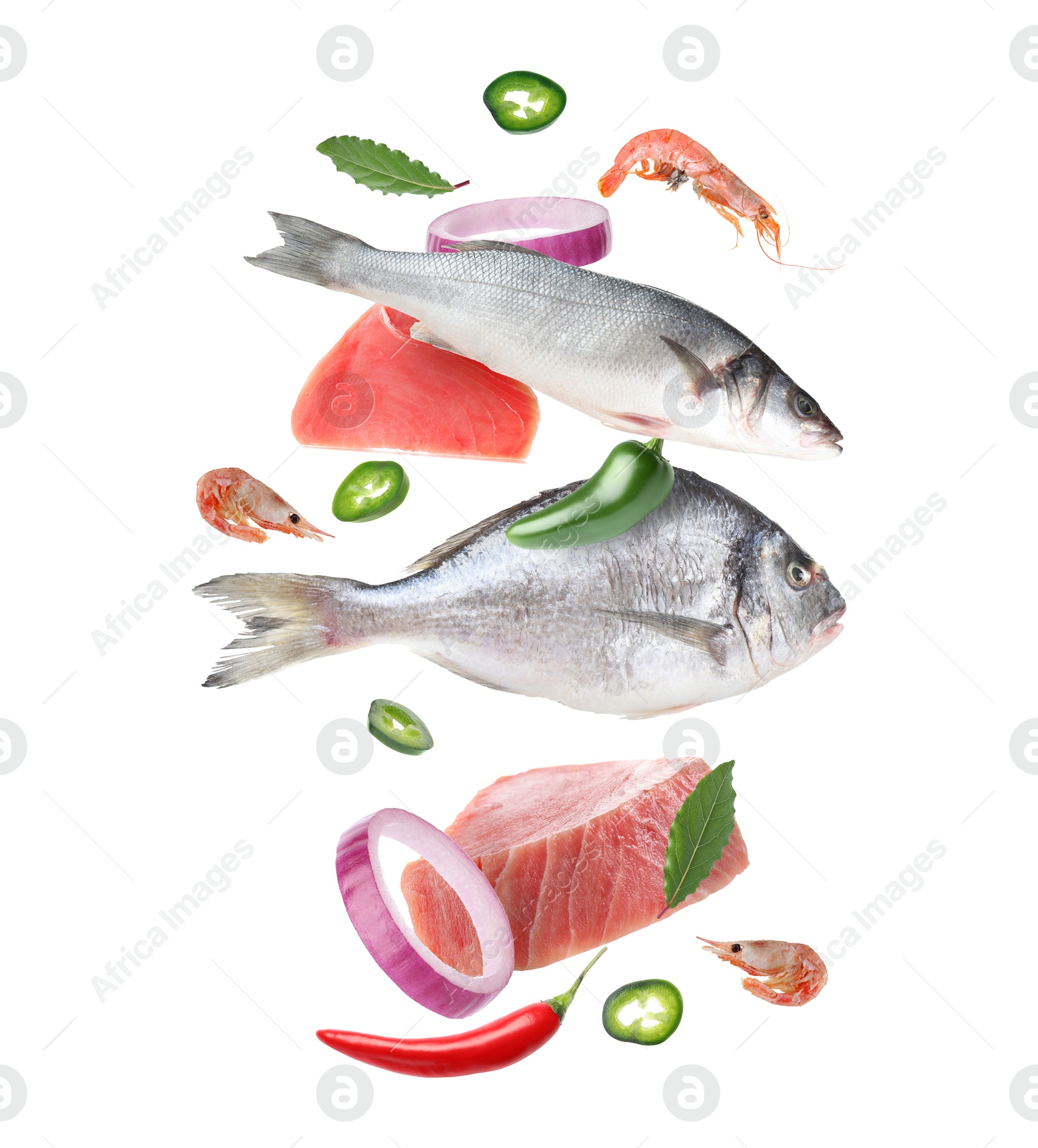 Image of Different sea food in air on white background