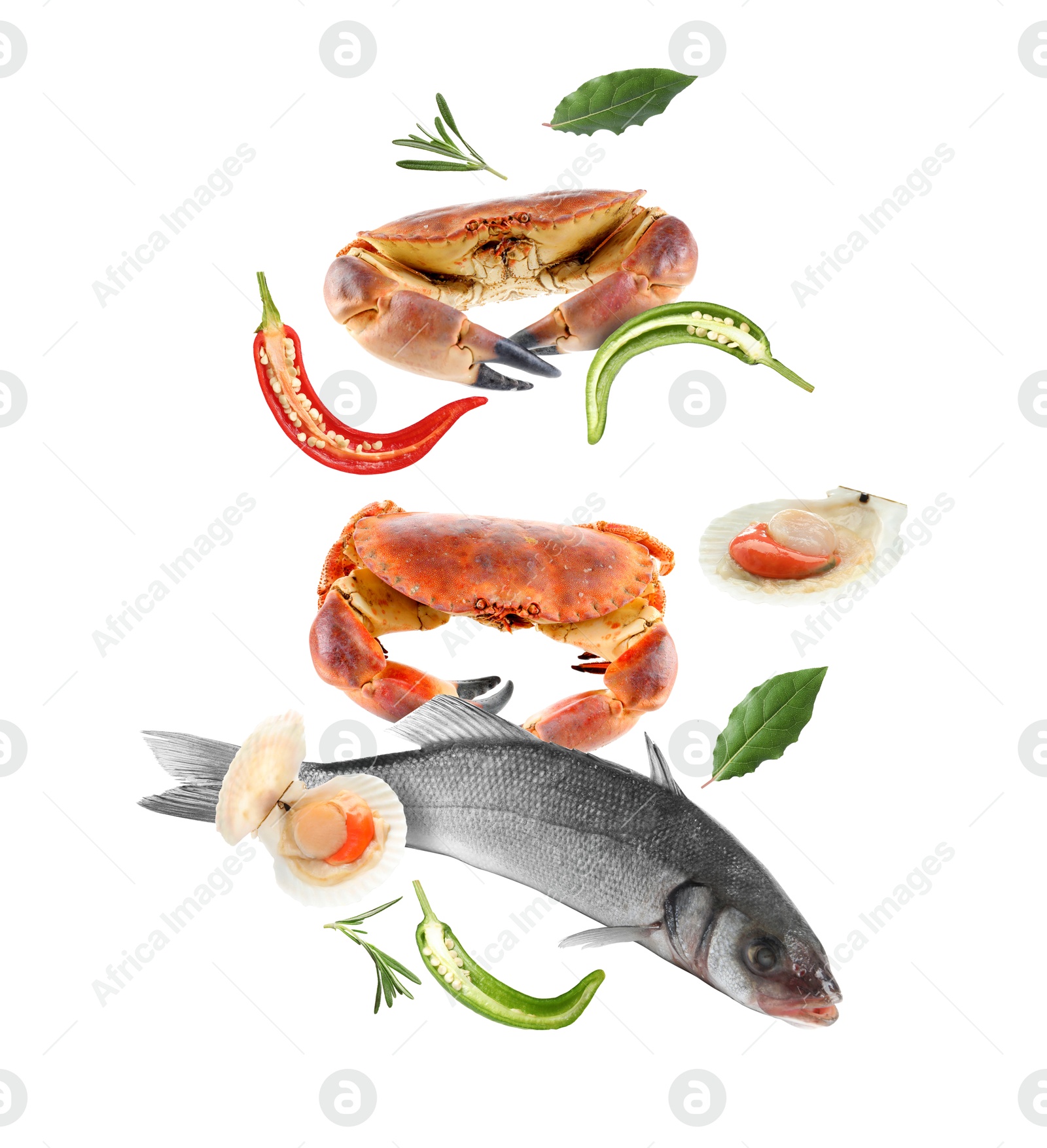 Image of Different sea food in air on white background