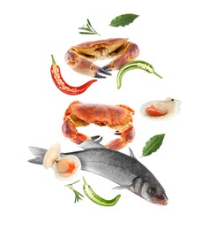 Image of Different sea food in air on white background