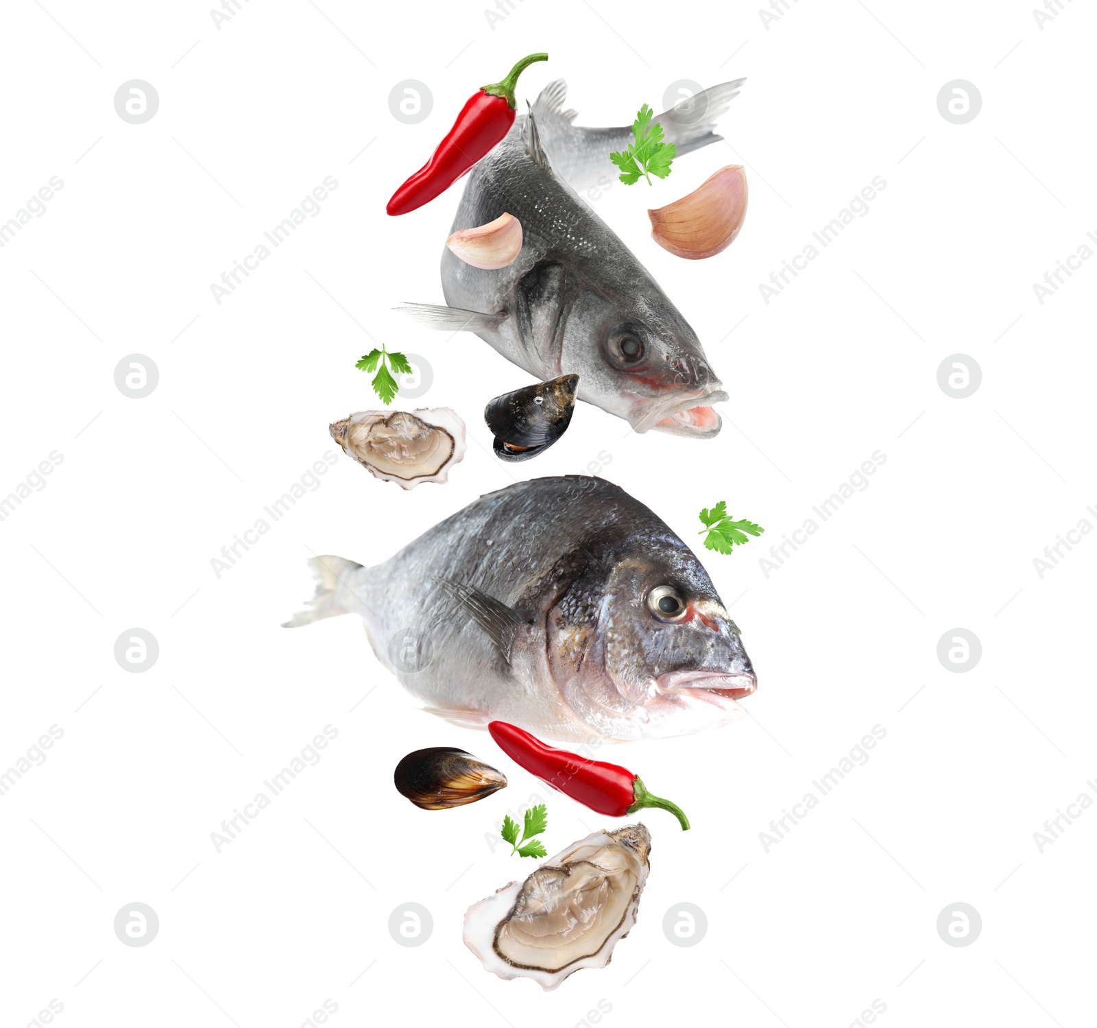 Image of Different sea food in air on white background