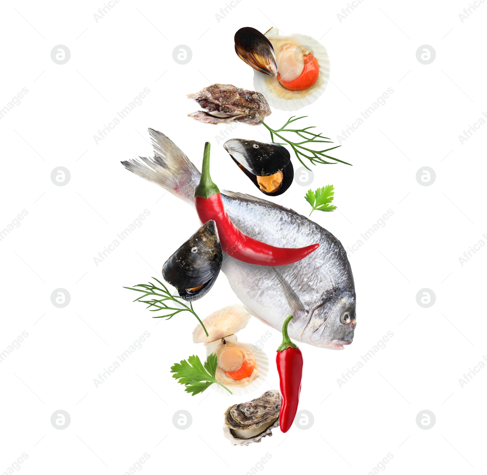 Image of Different sea food in air on white background