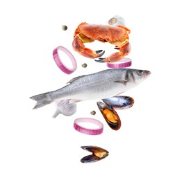 Image of Different sea food in air on white background