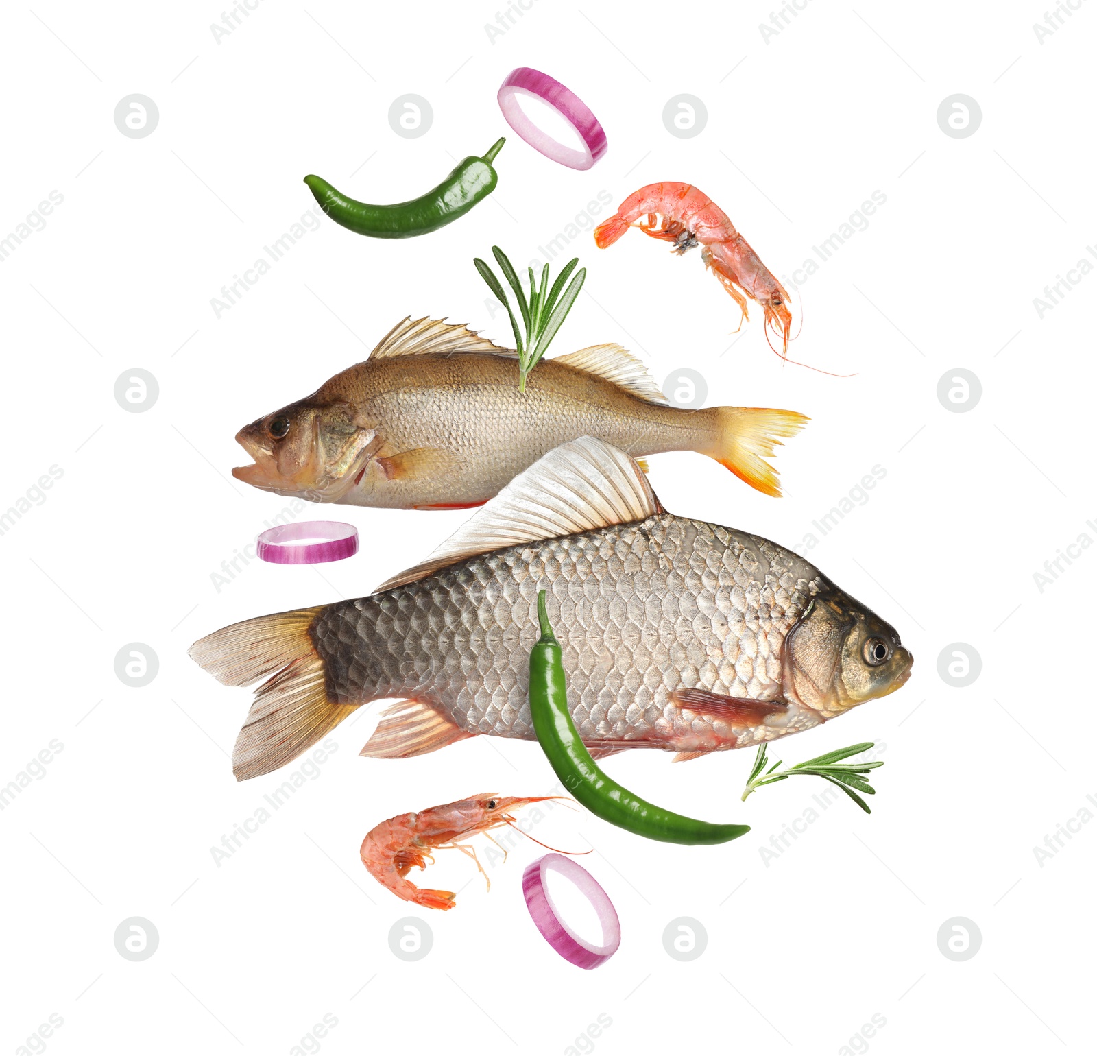 Image of Different sea food in air on white background