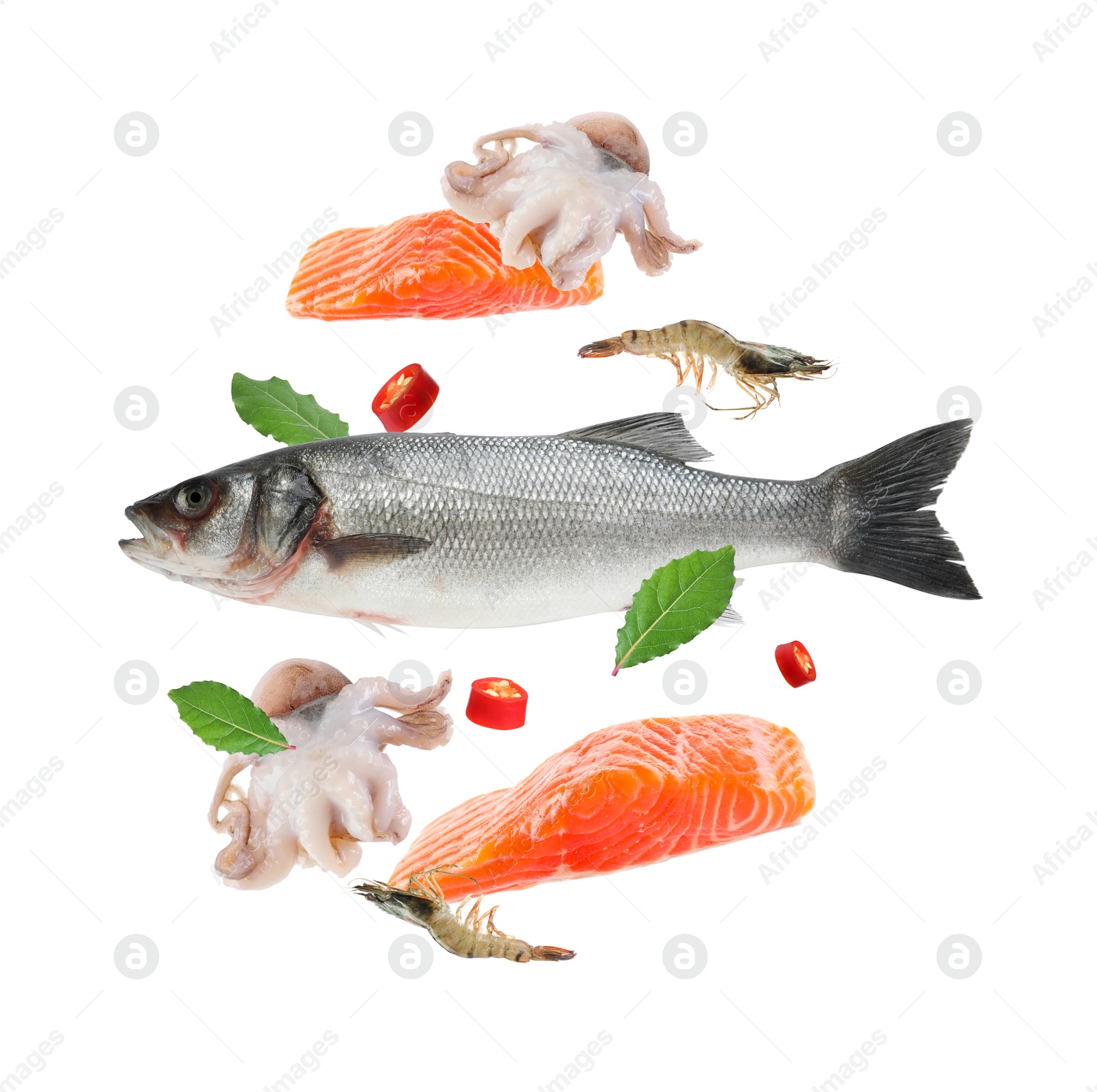 Image of Different sea food in air on white background