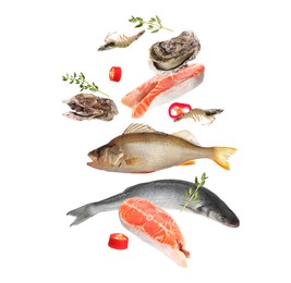 Image of Different sea food in air on white background