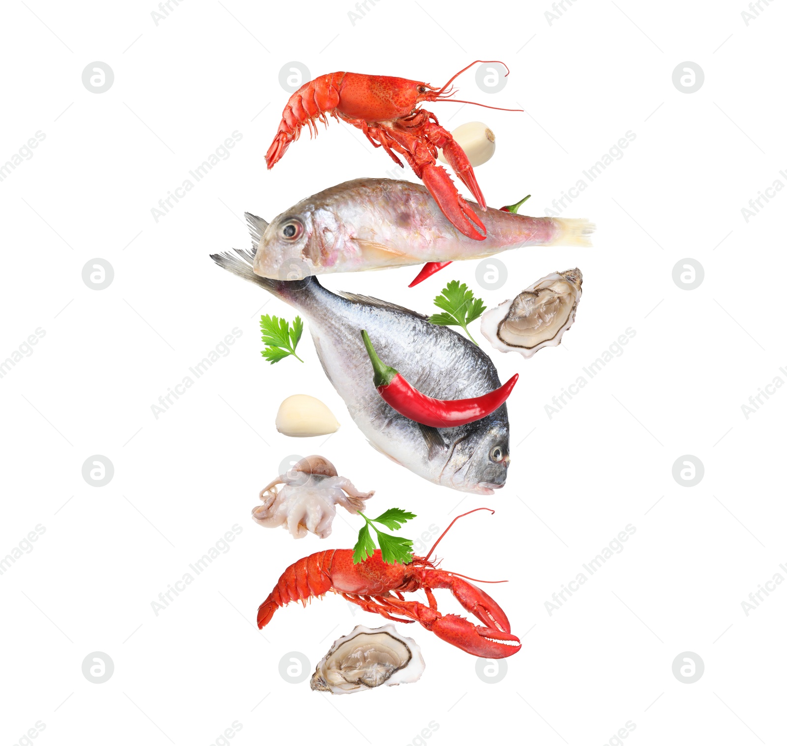 Image of Different sea food in air on white background