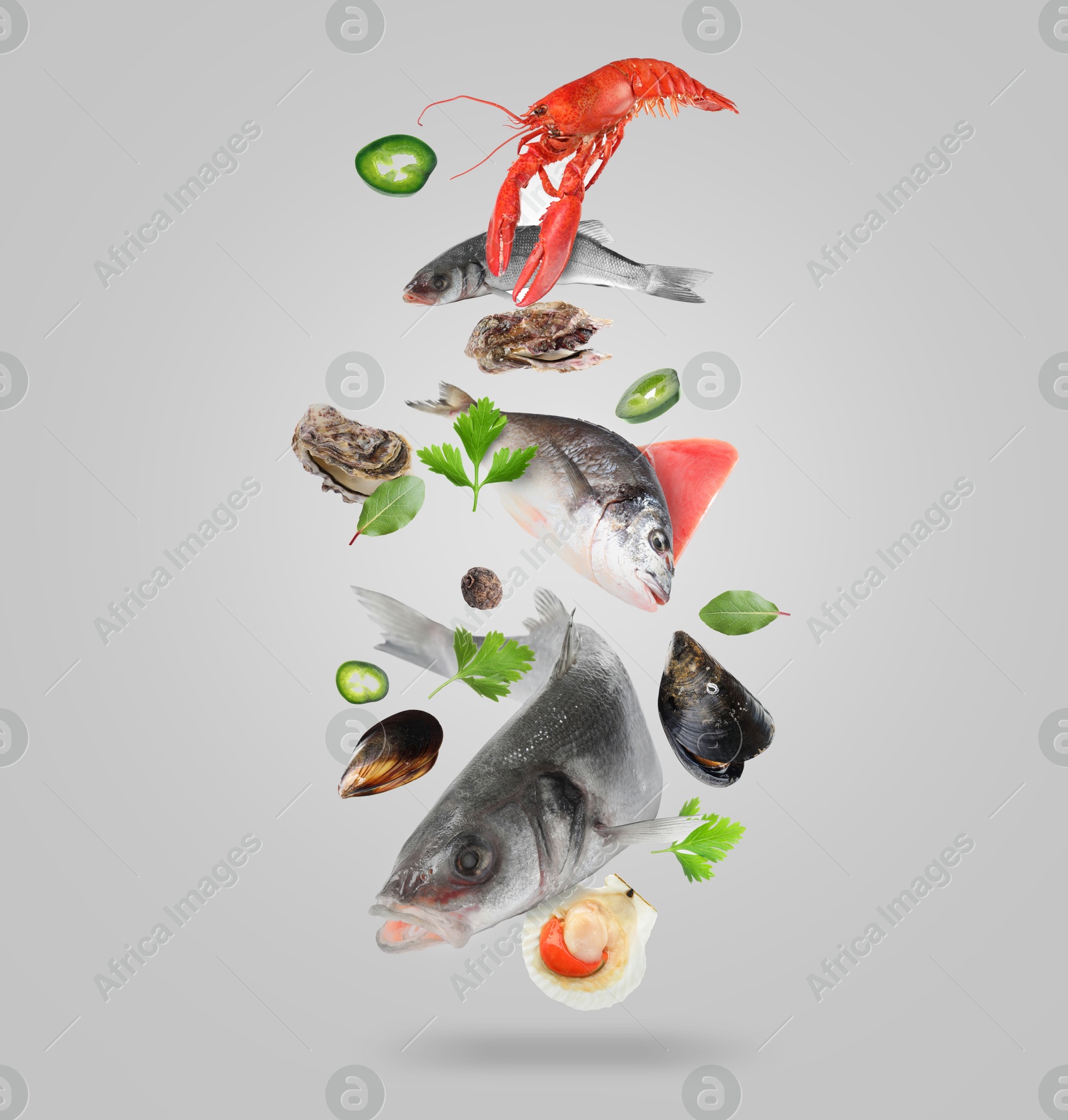 Image of Different sea food in air on light grey background