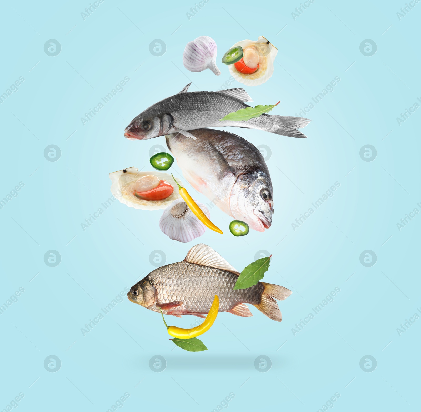 Image of Different sea food in air on light blue background