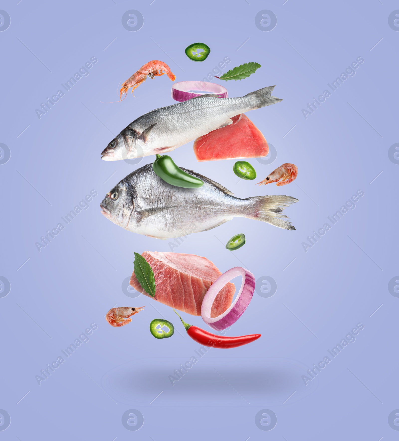 Image of Different sea food in air on violet blue background