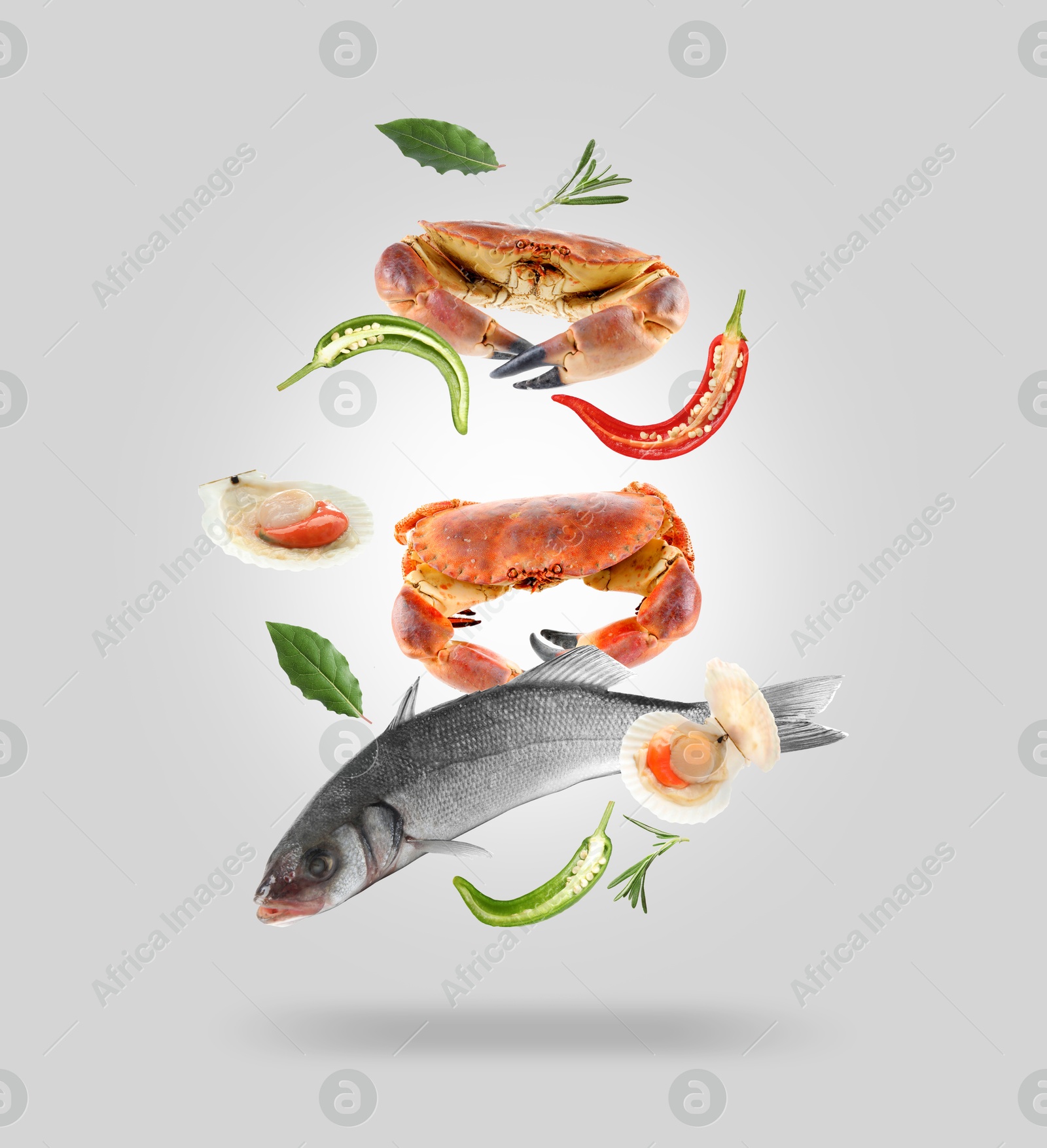 Image of Different sea food in air on light grey background.