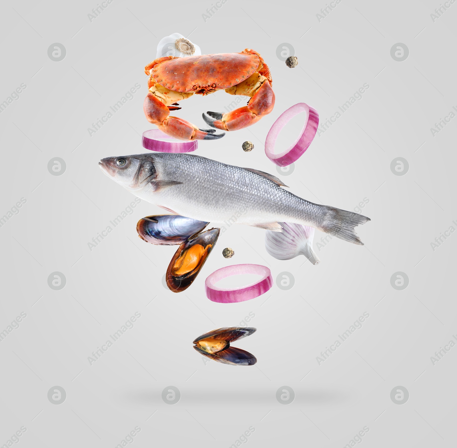 Image of Different sea food in air on light grey background.