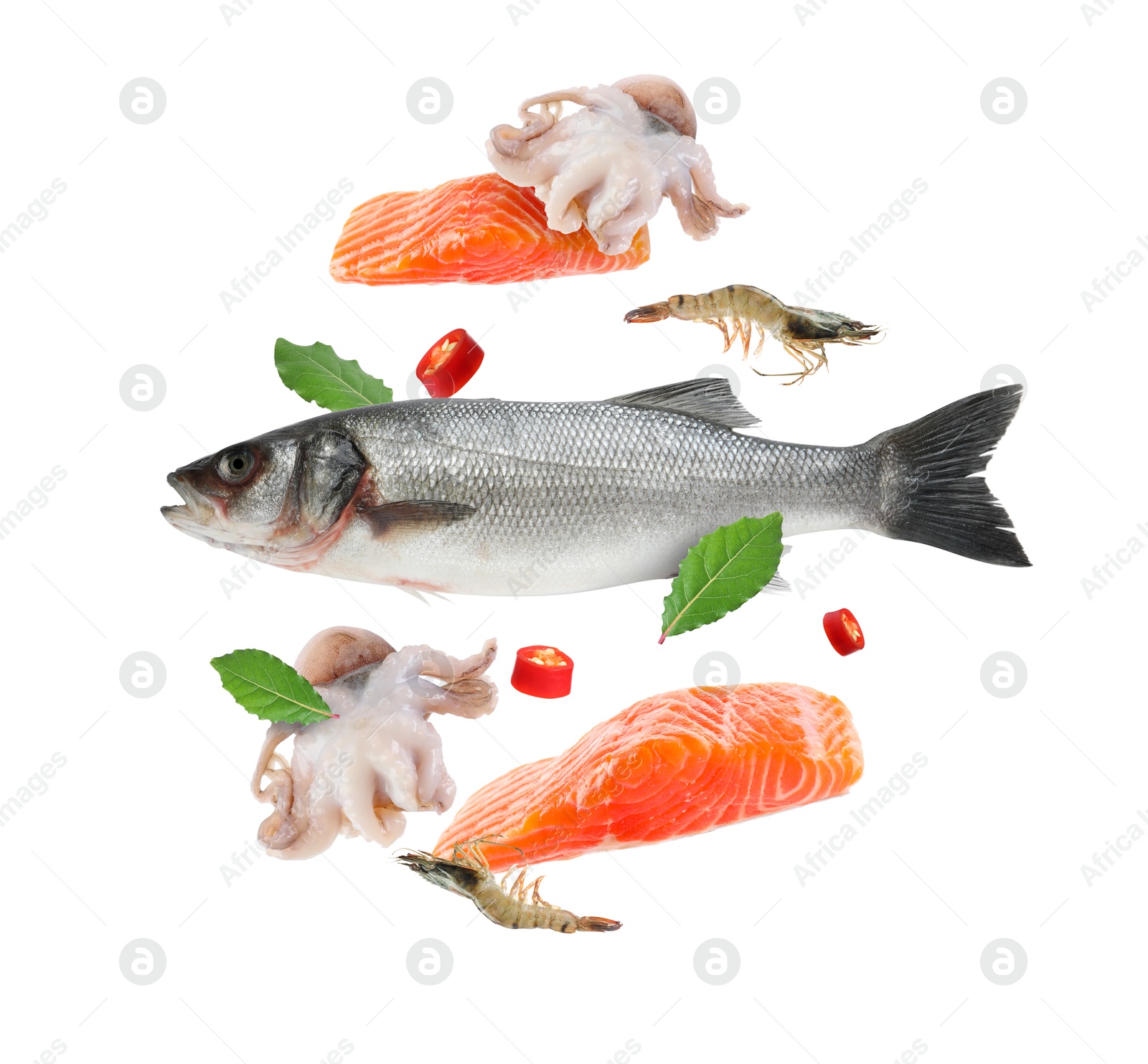 Image of Different sea food in air on white background