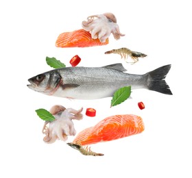 Image of Different sea food in air on white background