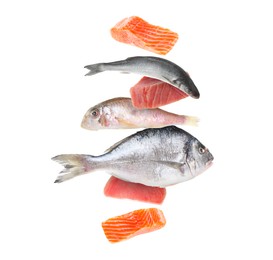 Image of Different sea food in air on white background