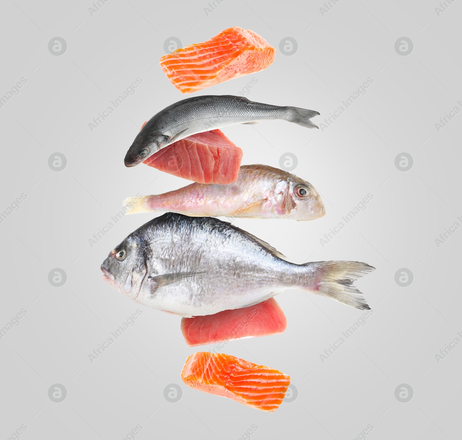 Image of Different sea food in air on light grey background