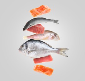 Image of Different sea food in air on light grey background