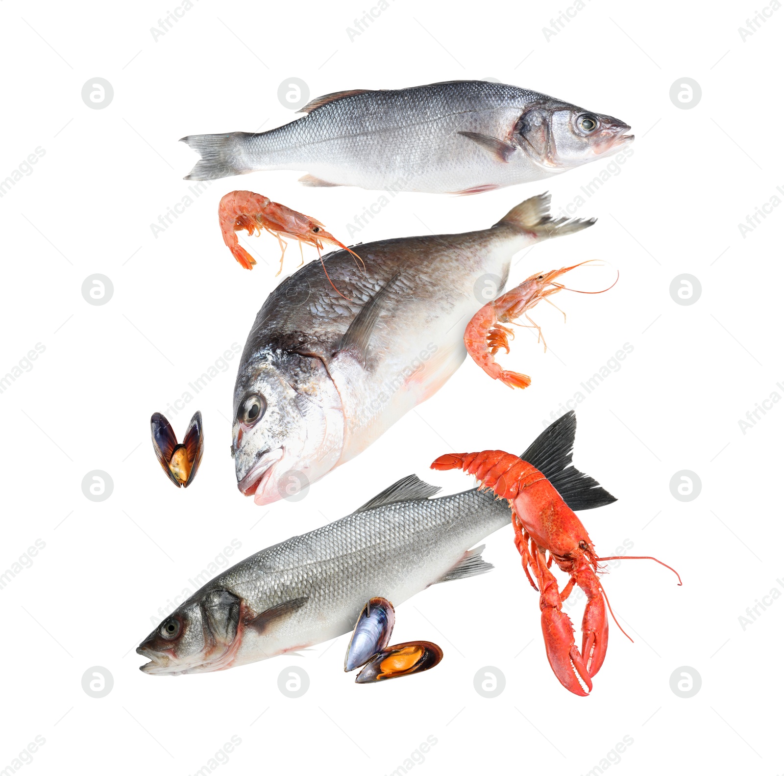 Image of Different sea food in air on white background