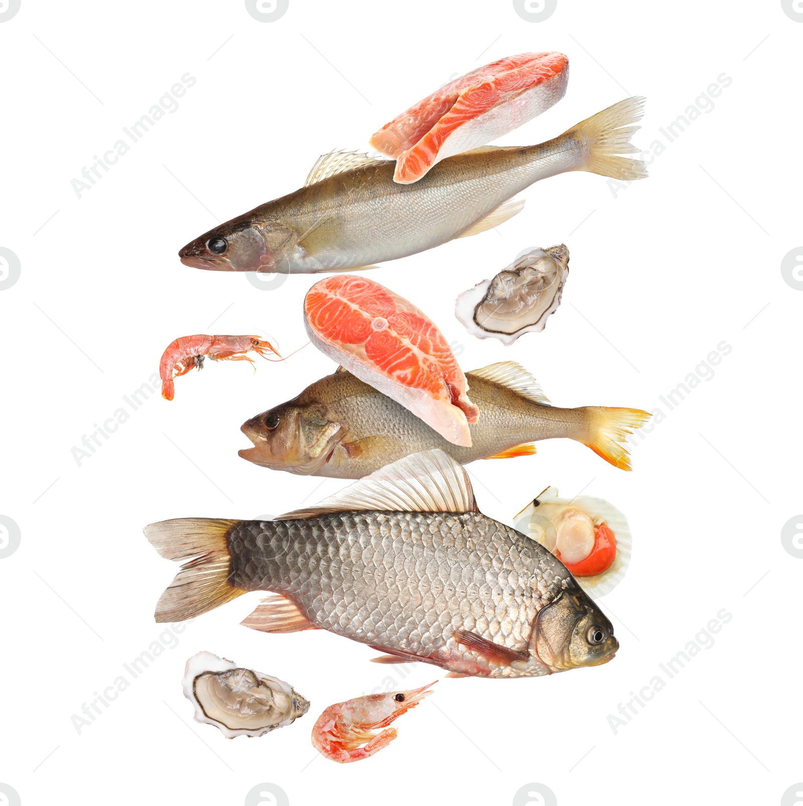 Image of Different sea food in air on white background