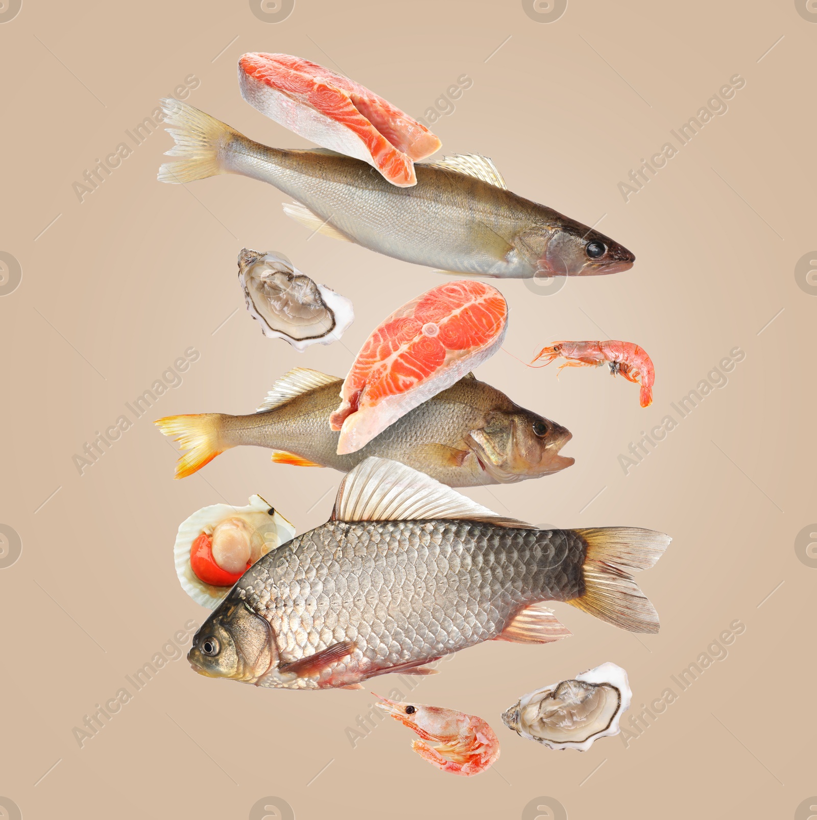 Image of Different sea food in air on dark beige background