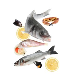 Image of Different sea food in air on white background