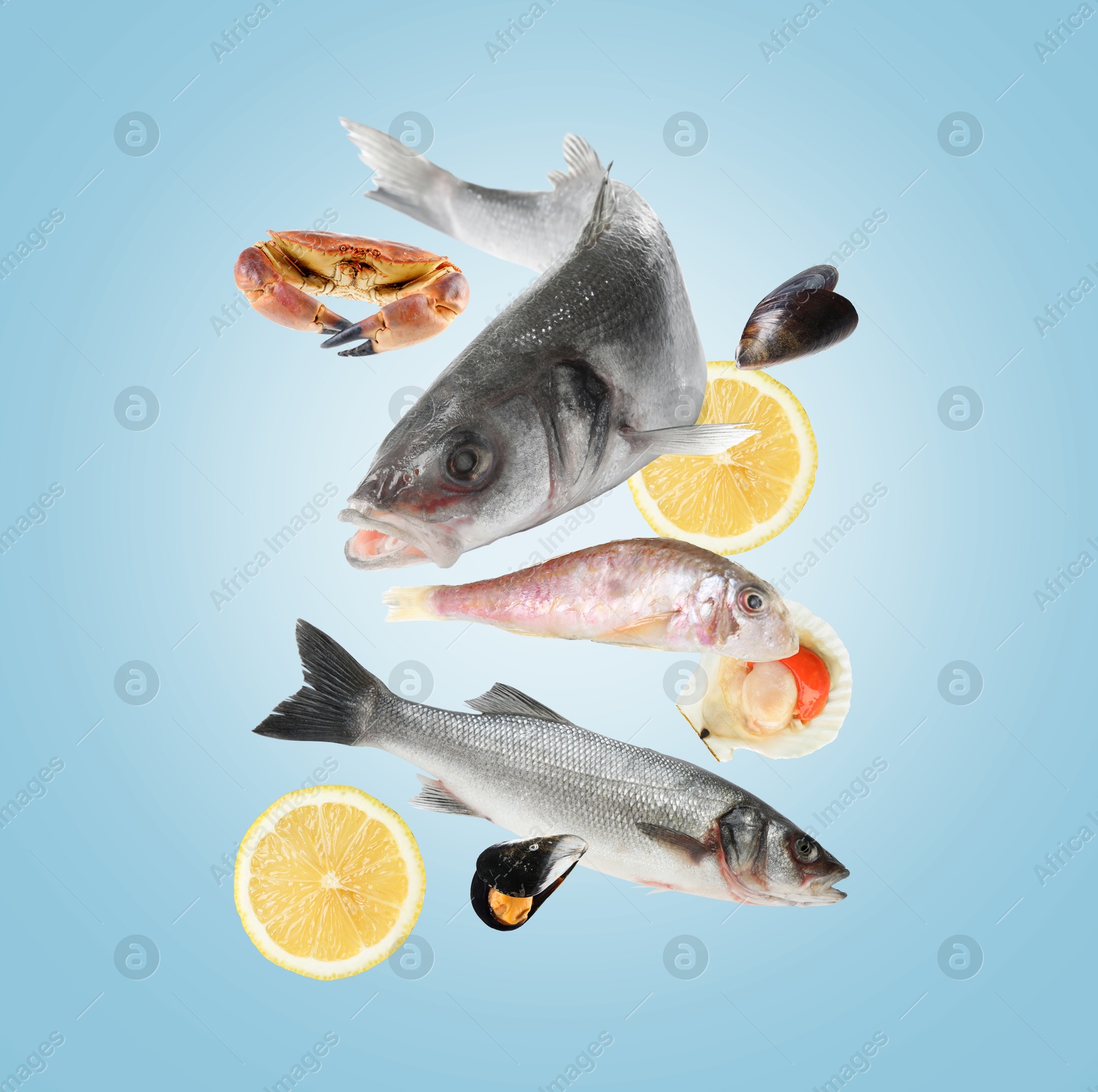 Image of Different sea food in air on light blue background