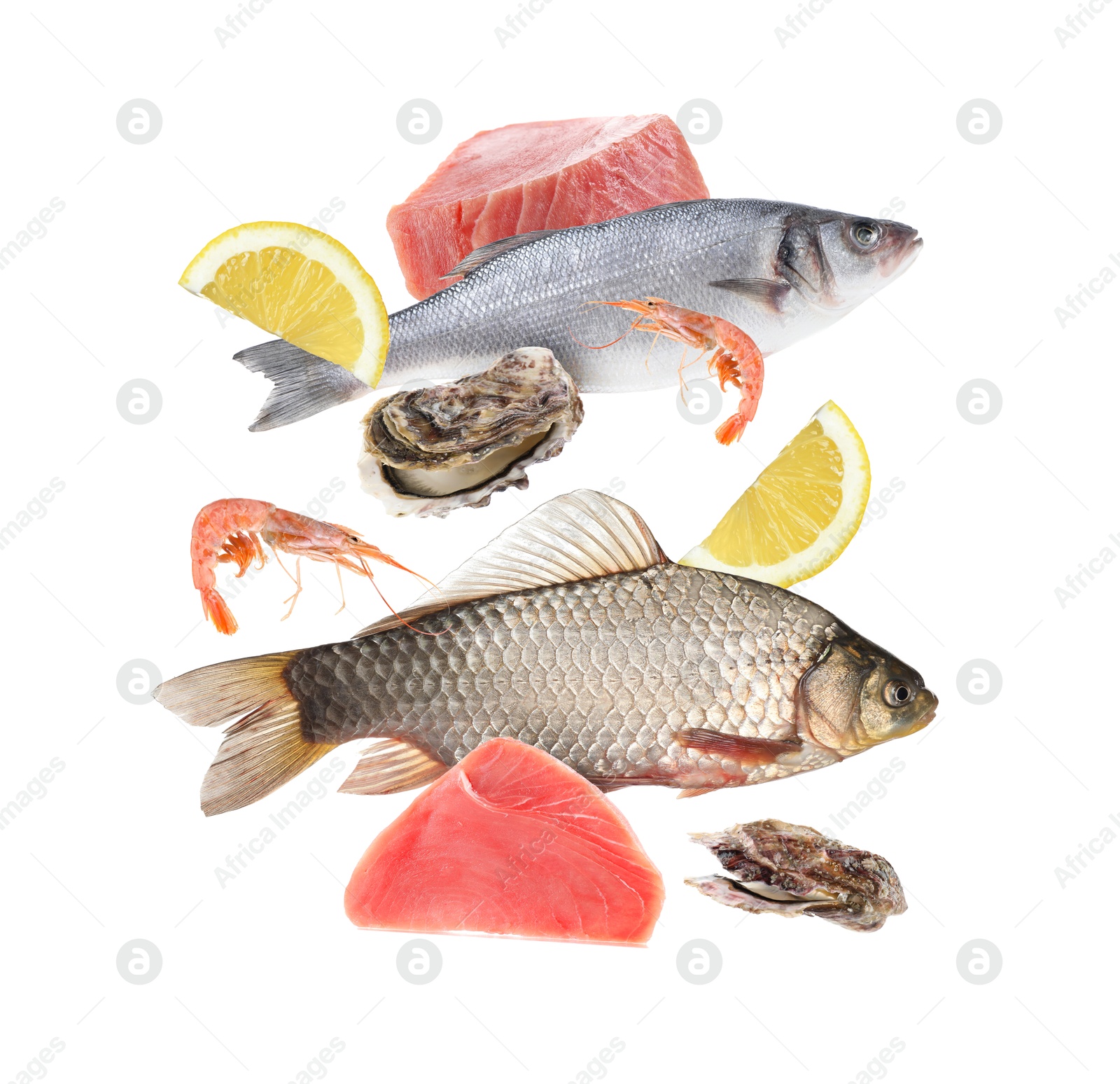 Image of Different sea food in air on white background