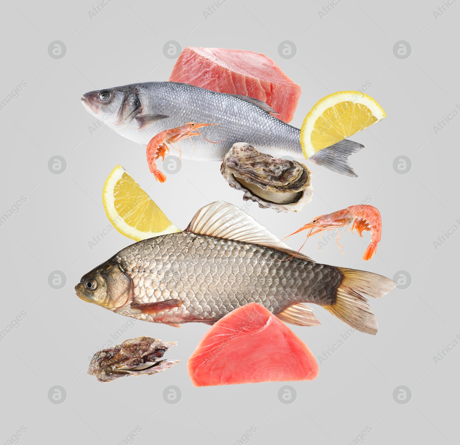 Image of Different sea food in air on light grey background