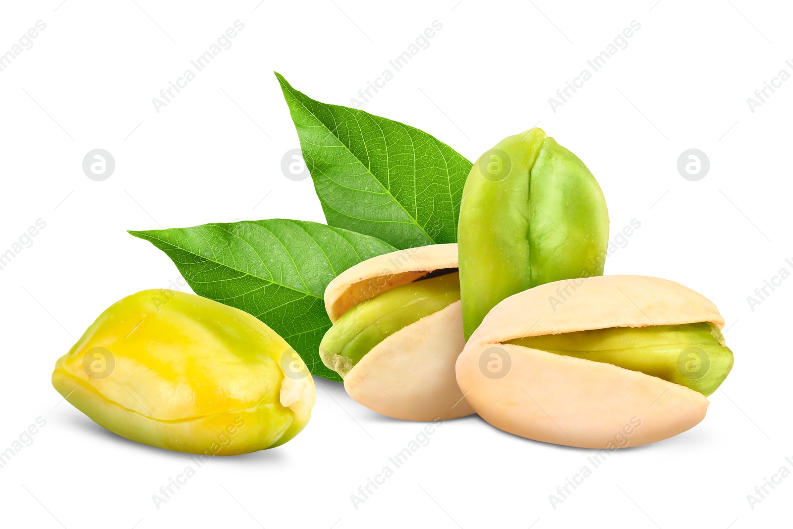 Image of Pistachios and green leaves on white background. Tasty nut