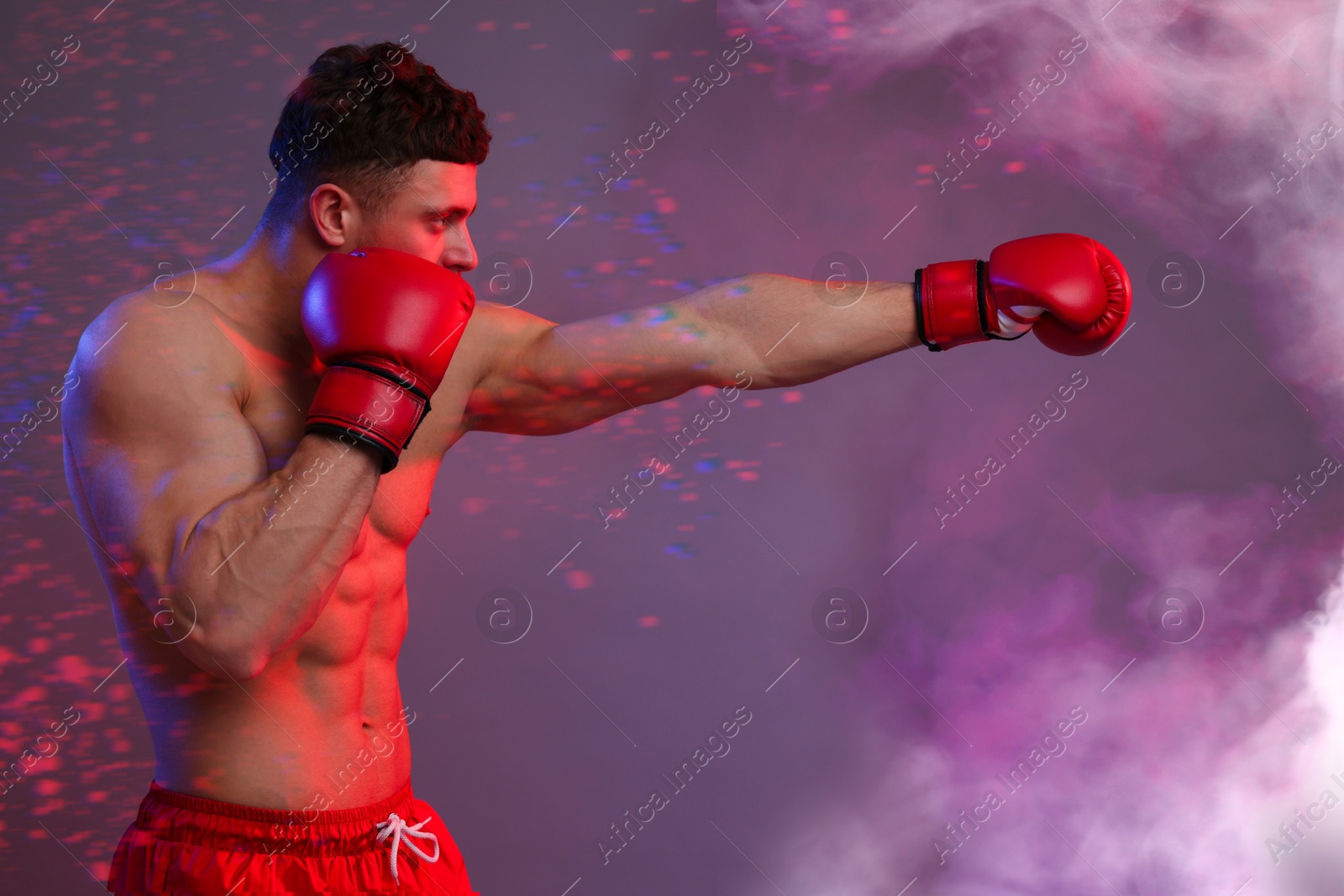 Image of Boxer training in smoke on color background