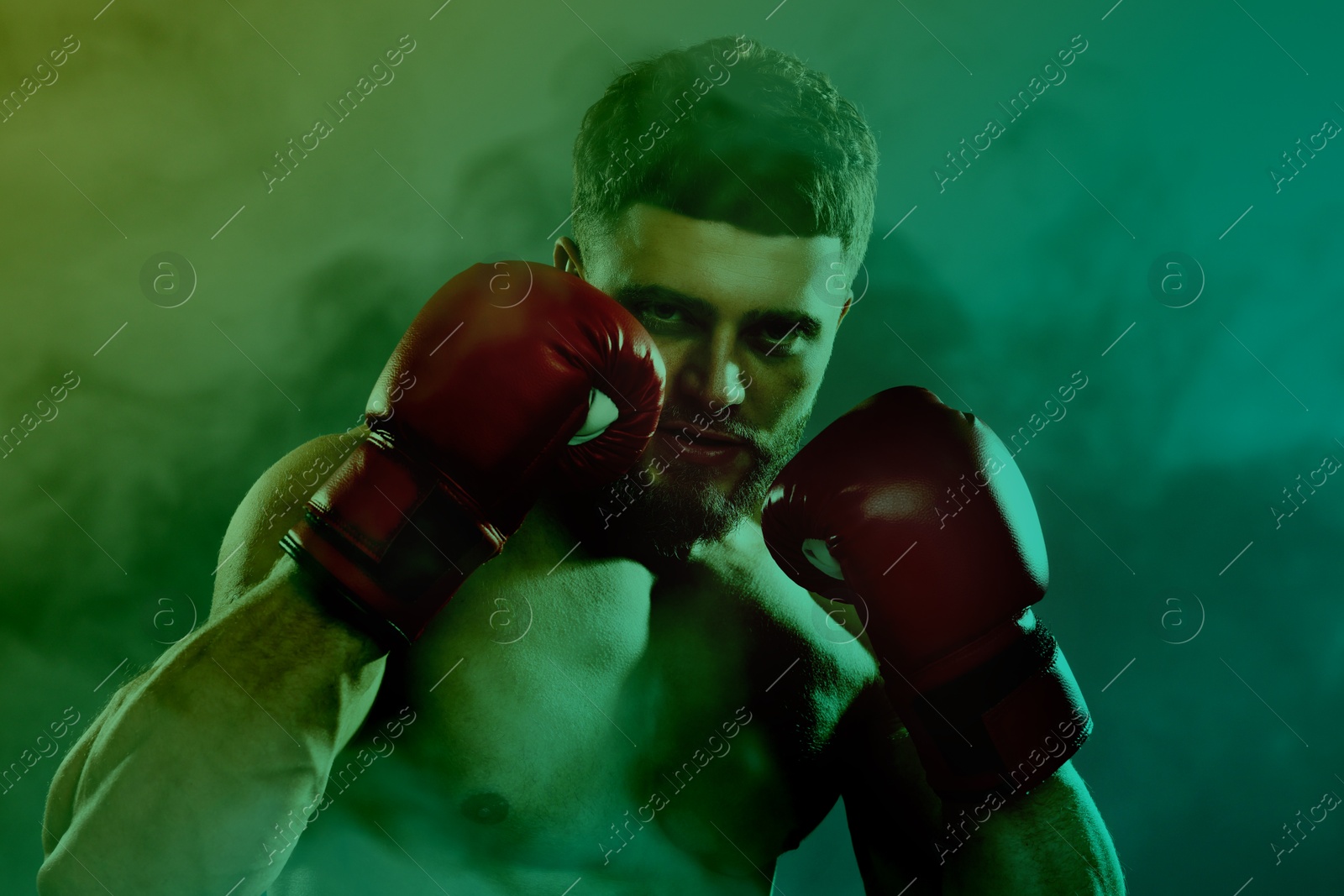 Image of Boxer training in smoke, toned in green and turquoise colors