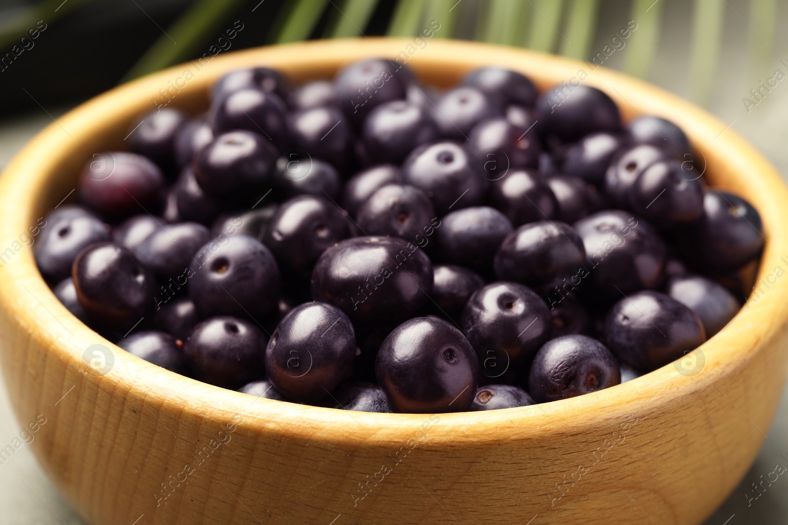 Photo of Ripe acai berries in bowl on table, closeup