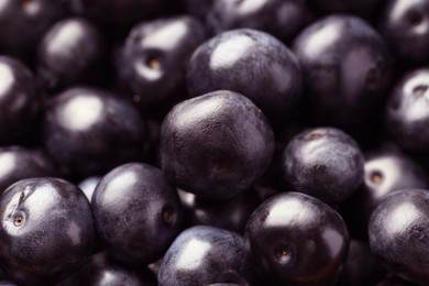 Photo of Ripe acai berries as background, closeup view