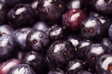 Photo of Wet acai berries as background, closeup view