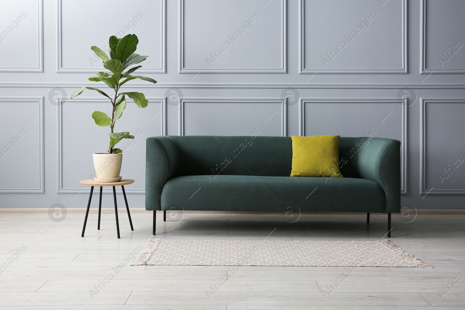 Photo of Stylish sofa with cushion and green plant on side table near grey wall