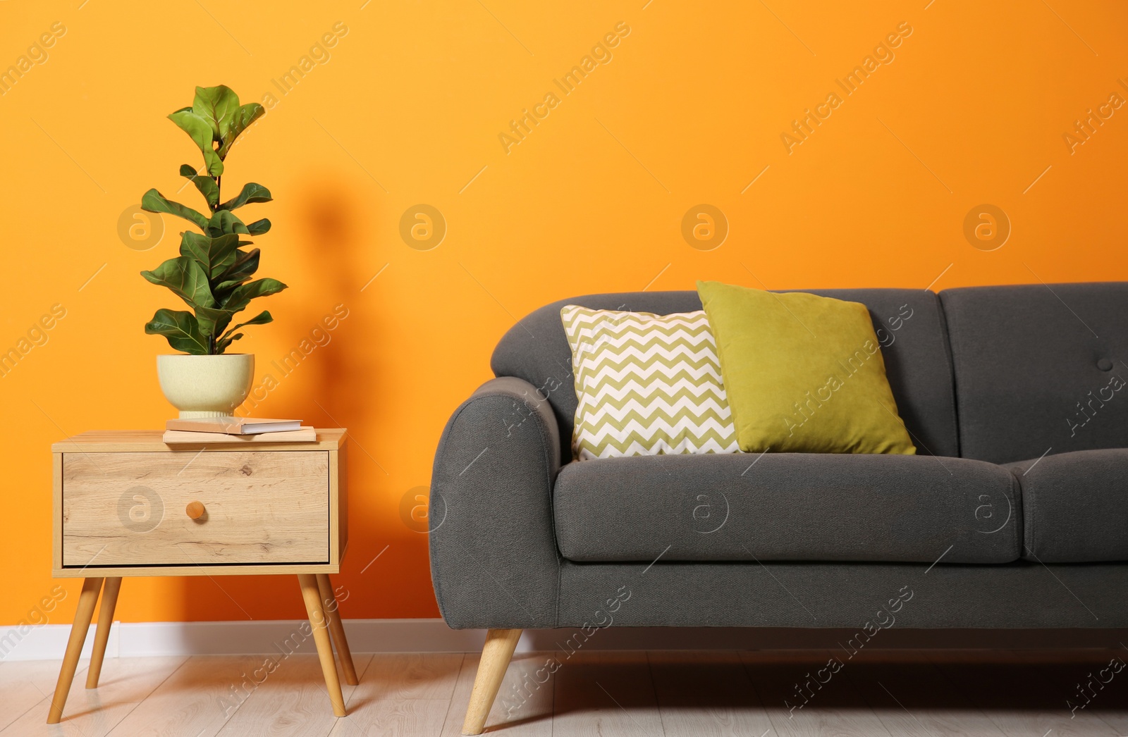 Photo of Stylish sofa with cushions, plant and books on side table near orange wall